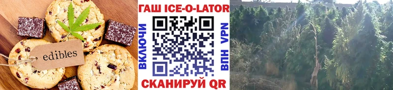 где купить наркоту  Мытищи  Canna-Cookies конопля 