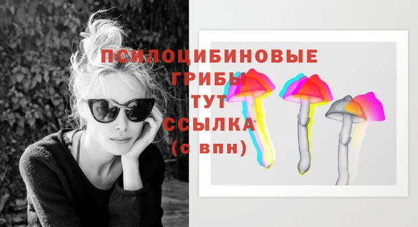 марки nbome Вяземский