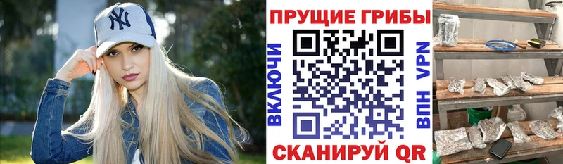 Галлюциногенные грибы Magic Shrooms  Мытищи 